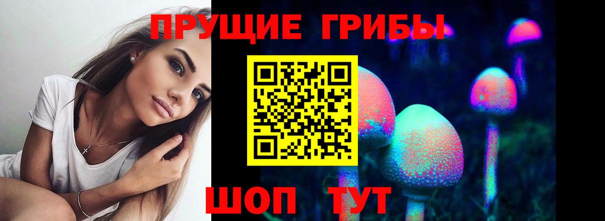 Псилоцибиновые грибы мицелий Сургут